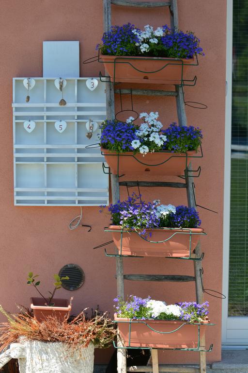 Affittacamere Il Torchio Pianfei Exterior foto